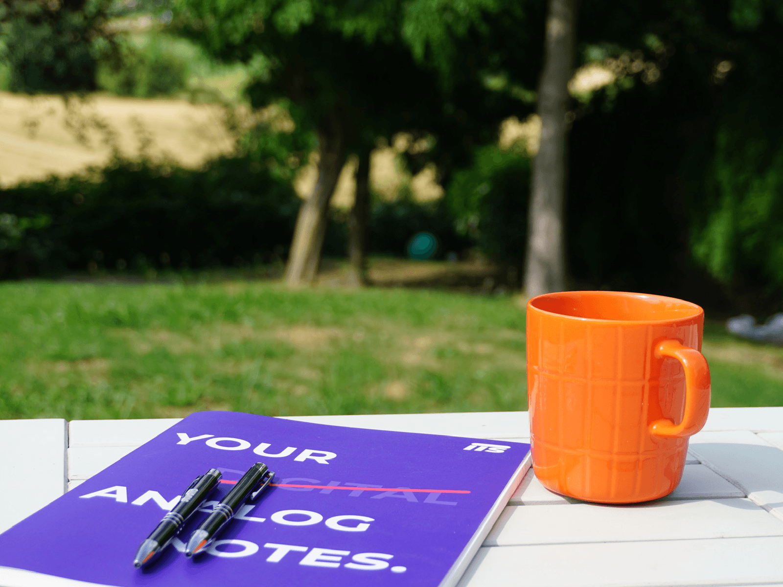 Photo studying with mug